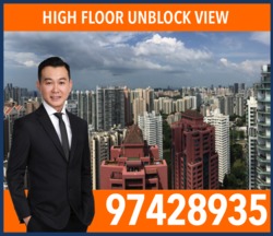 OUE Twin Peaks (D9), Condominium #169993402